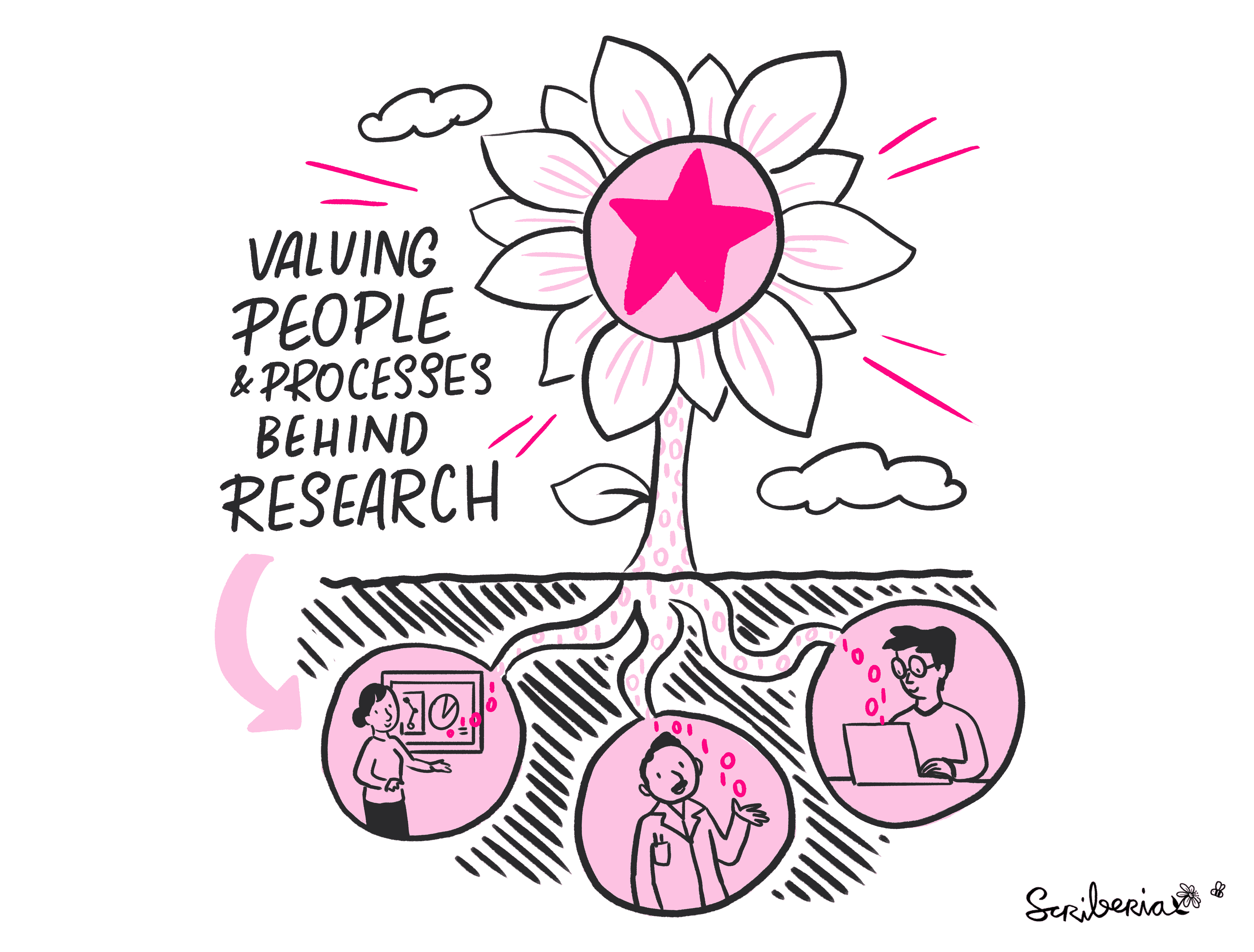 Cartoon-like sketch with pink colours of a large sunflower with a star in the middle sitting on top of the ground. It has the text next to the flower that says 'valuing people and processes behind research'. Below the ground, three roots extend, each terminating with an illustrated figure symbolising the often hidden efforts in research. From left to right, a female presenter giving a talk, a mustached male figure in a lab coat collecting data, and a person with glasses diligently working on a laptop. These figures represent the unseen work integral to the research process.