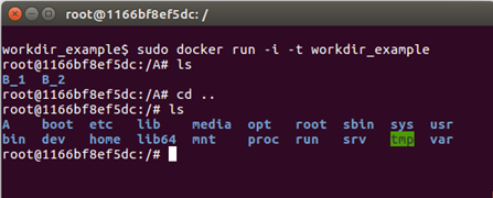 Screenshot of container generated using WORKDIR command